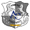 Wappen Amiens SC II