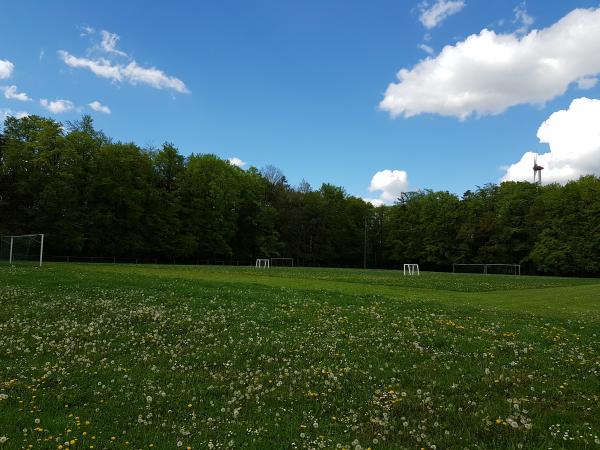 Waldstadion Nebenplatz - Beratzhausen-Oberpfraundorf