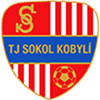 Wappen TJ Sokol Kobylí B