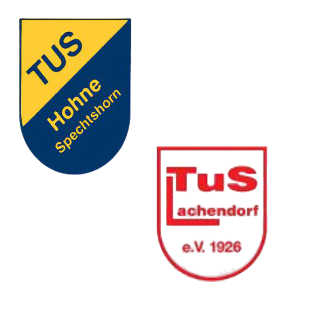 Wappen SG Hohne-Spechtshorn II / TuS Lachendorf II (Ground B)  123047