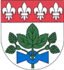 Wappen TJ Sokol Koštice