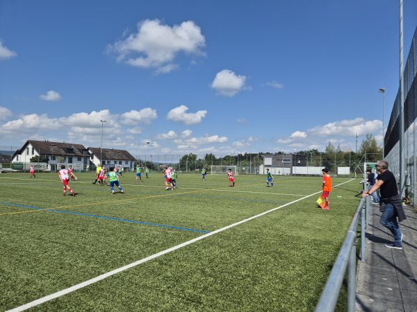 Sportplatz Ehret Kunstrasenplatz - Hünenberg
