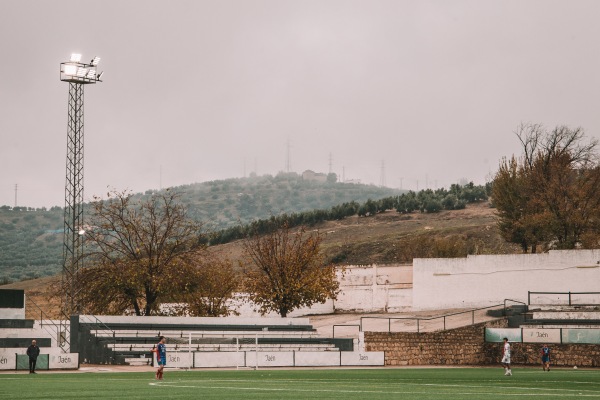 Campo de la Federación Sebastián Barajas - Jaén, AN