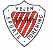 Wappen Vejen SF diverse