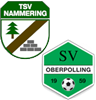 Wappen SG Nammering/Oberpolling II (Ground B)  59014