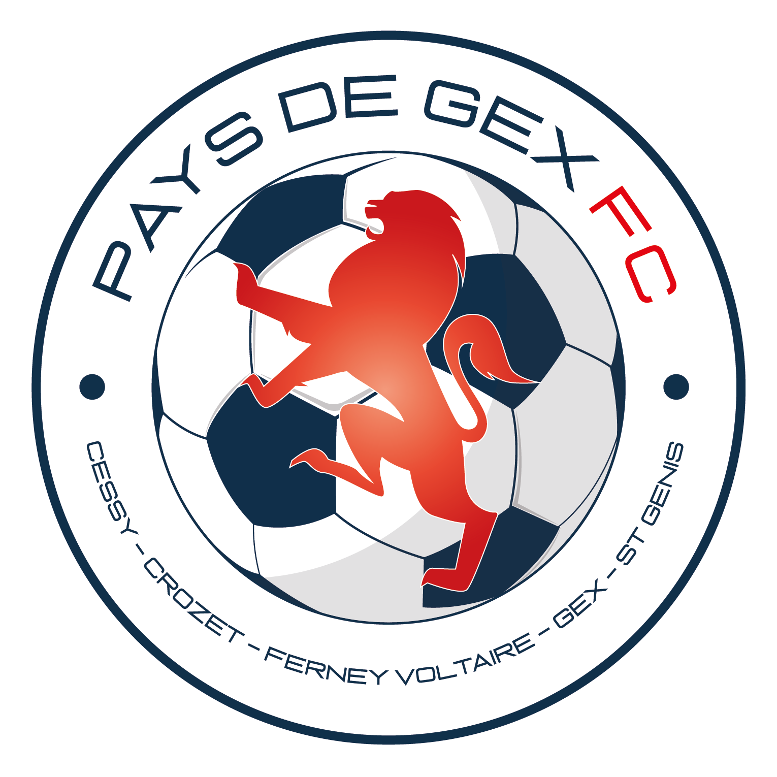Wappen Pays de Gex FC diverse