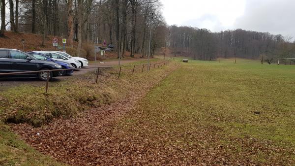 Sportplatz am Schloß - Bad Liebenstein-Steinbach