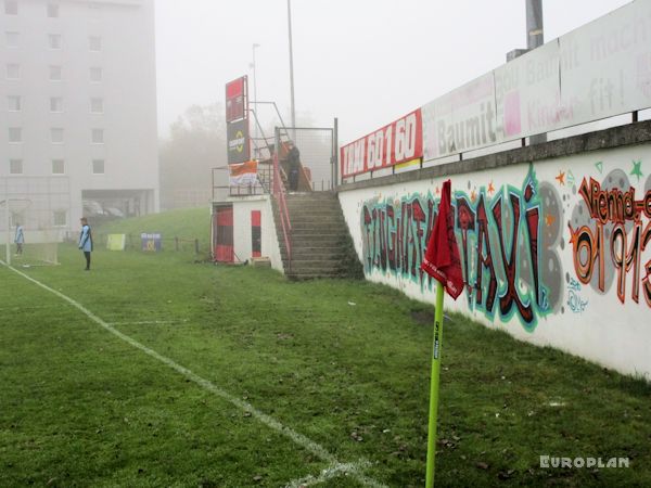 Alter Zustand (Naturrasen)