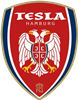 Wappen Serbische SG Nikola Tesla Hamburg 1995 III