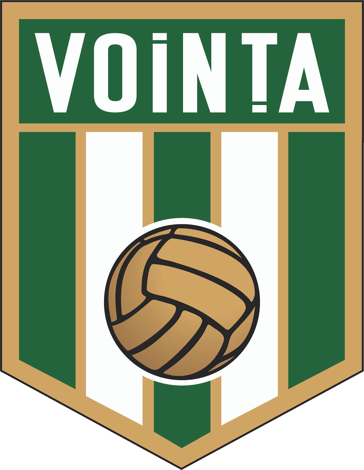 Wappen LSS Voința Sibiu diverse
