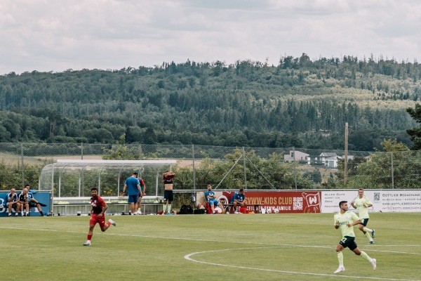 Halberg-Stadion - Taunusstein-Wehen