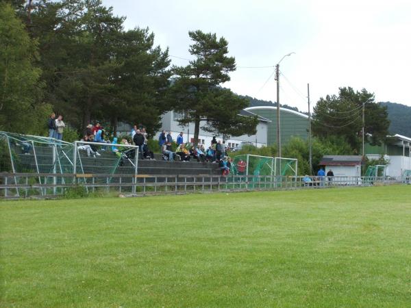 Blindheim naturgress - Ålesund