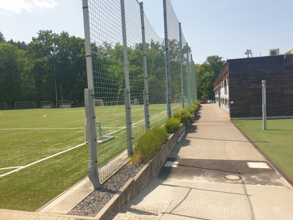 Fußballschule am Möslestadion - Freiburg/Breisgau