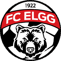 Wappen FC Elgg diverse  54051