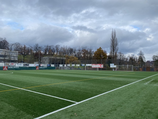 Sportplatz Wartegg - Luzern