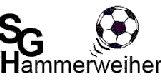 Wappen SG Hammerweiher (Ground B)  48603