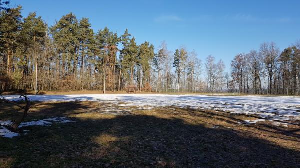 Waldsportplatz - Crimla