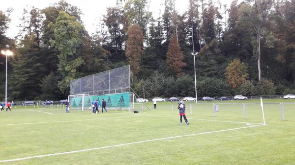 Sportplatz Heusser-Staub-Wiese - Uster