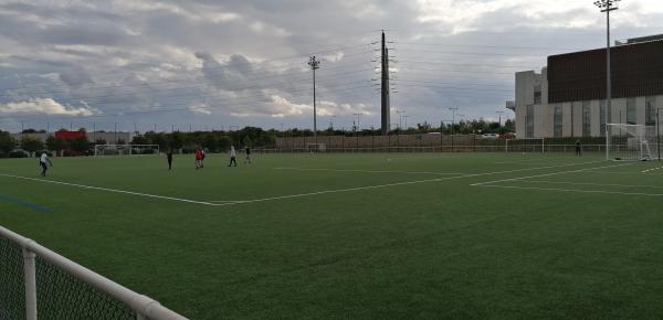 Stade Dominique Duvauchelle terrain 3 - Créteil