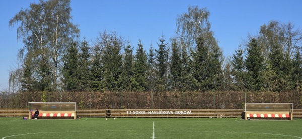 Hřiště Havlíčkova Borová - Havlíčkova Borová