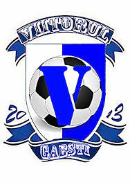 Wappen Viitorul Găești  32372