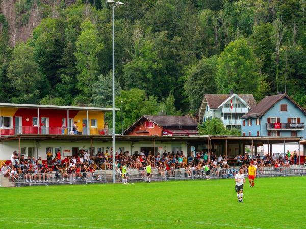 Sportplatz Tierpark - Arth-Goldau