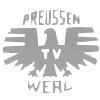 Wappen SV Preußen 11/47 im Werler TV 1894 diverse  92724
