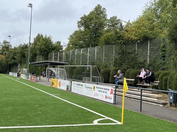 Sportplatz Pelmanstraße - Essen/Ruhr-Holsterhausen