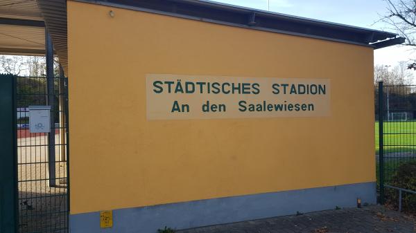 Städtisches Stadion an den Saalewiesen Nebenplatz - Saalfeld/Saale