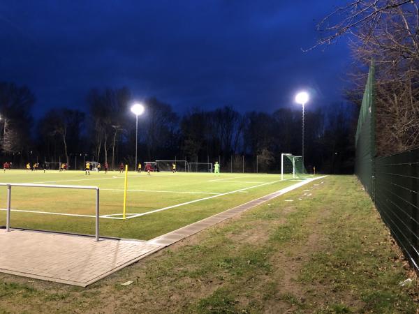 Bezirkssportanlage Leiferder Weg C-Platz - Braunschweig-Rüningen