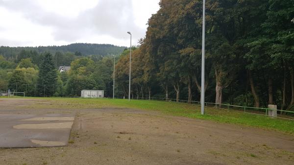 Kampfbahn an der Spielwiese - Steinbach-Hallenberg