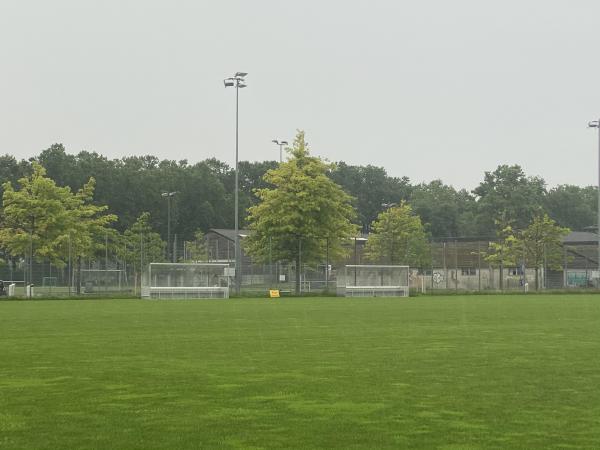 Sportanlage Juchhof 2 Platz 5 - Schlieren