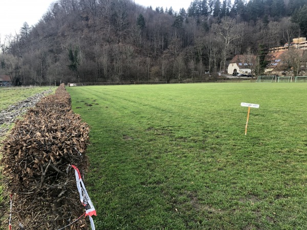 Ökosportplatz der Universität Freiburg - Freiburg/Breisgau
