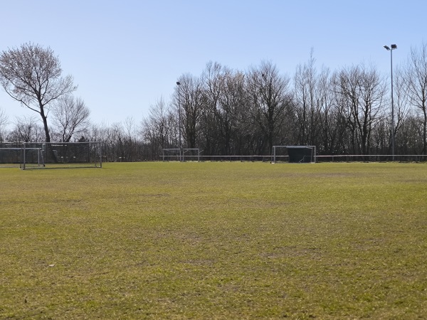 Lagedeich-Stadion B-Platz - Rantrum