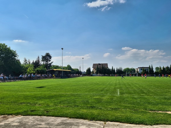 Stadion w Krzyżanowice - Krzyżanowice