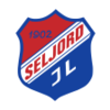 Wappen Seljord IL diverse  135130