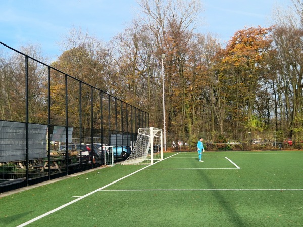 Sportpark De Bosdreef veld 2 - Rotterdam
