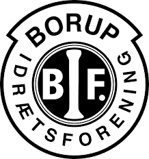 Wappen Borup IF diverse