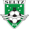 Wappen FC Seltz diverse