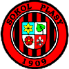 Wappen TJ Sokol Plasy B