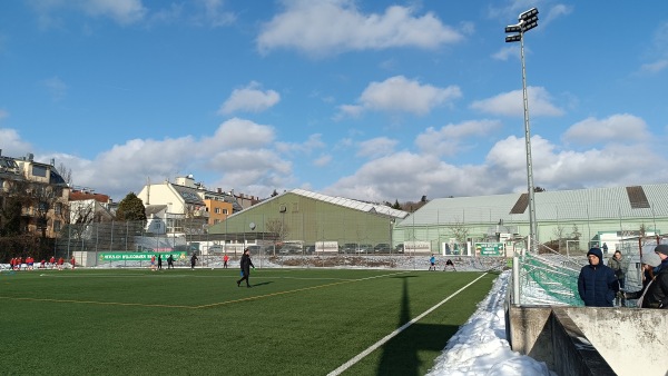 Allianz Stadion Trainingsplatz West 2 - Wien