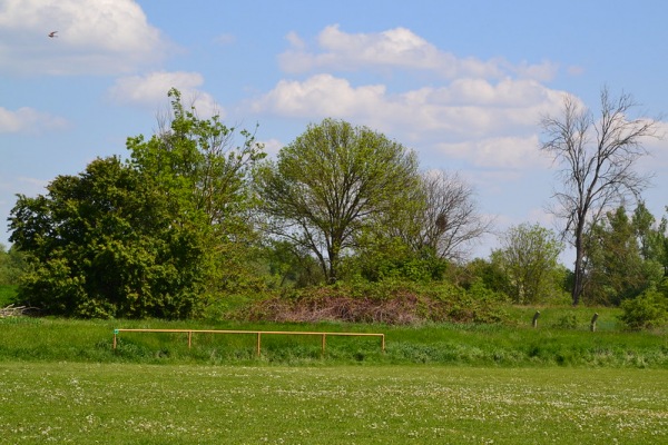 Sport- und Freizeitanlage Kreuzberge Platz 2 - Dessau-Roßlau