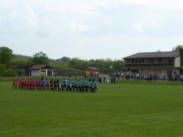 Sportgelände am Sebastianihaus - Oberschwarzach