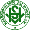 Wappen Hamminkelner SV 20/46 II