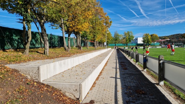 Kräuter Mix Arena - Abtswind