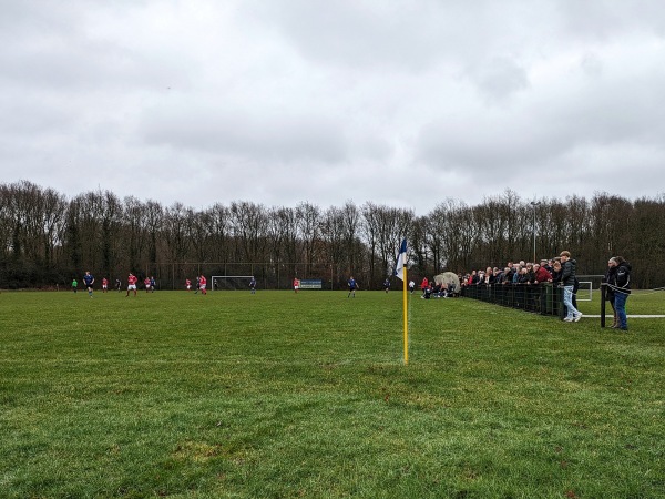 Sportpark Hereweg veld 3 - Noordenveld-Peize