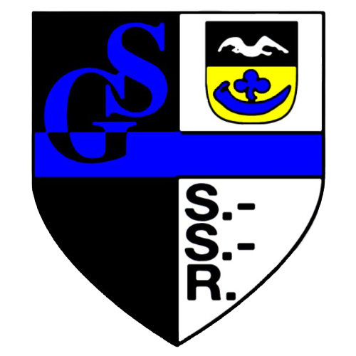 Wappen SG Schwei - Seefeld - Rönnelmoor 1991  66311