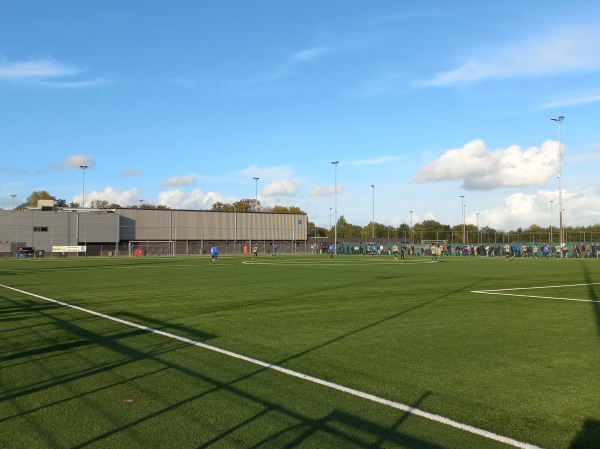 Sportpark Ceintuurbaan veld 6 - Zwolle