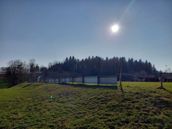 Terrain du Vert-Bois - Montsevelier