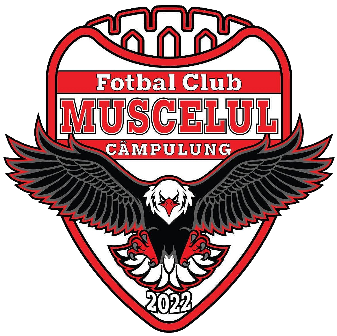 Wappen FC Muscelul Câmpulung diverse